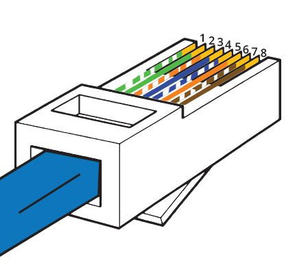 Conector RJ45